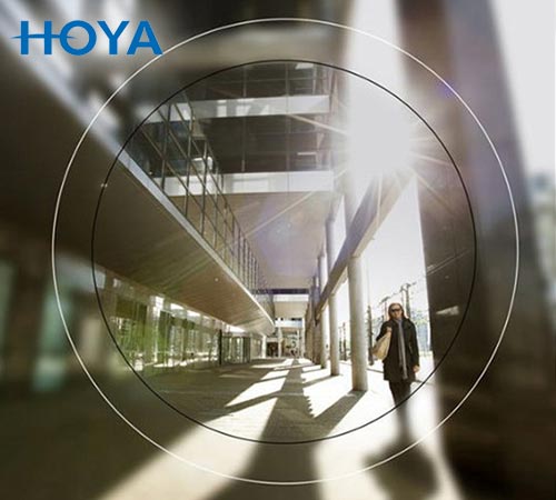 31-Hoya-Overzicht-2